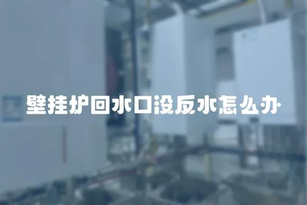 壁掛爐回水口沒反水怎么辦