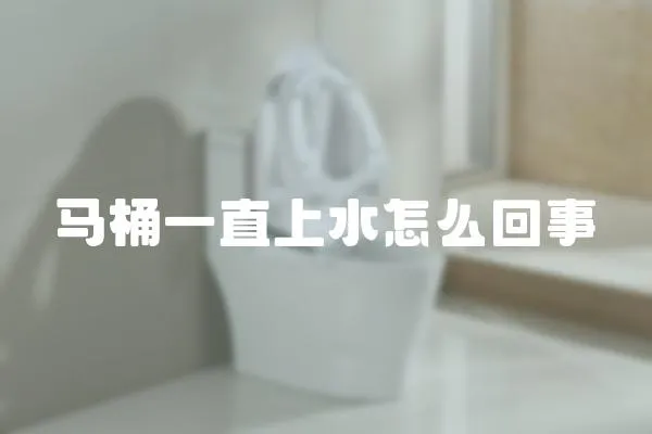 馬桶一直上水怎么回事