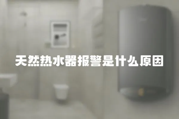 天然熱水器報警是什么原因