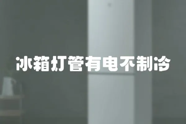 冰箱燈管有電不制冷