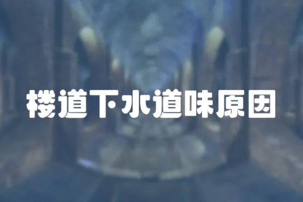 樓道下水道味原因