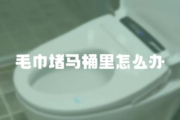 毛巾堵馬桶里怎么辦
