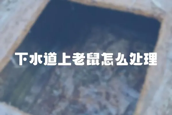 下水道上老鼠怎么處理