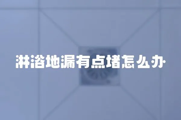 淋浴地漏有點(diǎn)堵怎么辦