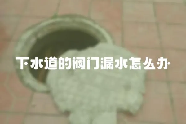 下水道的閥門漏水怎么辦