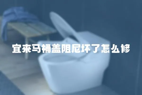 宜來馬桶蓋阻尼壞了怎么修