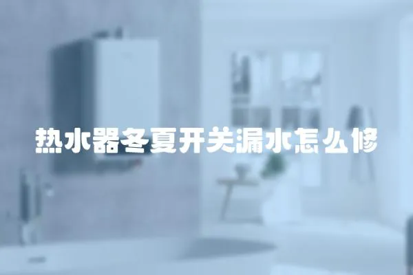 熱水器冬夏開關漏水怎么修