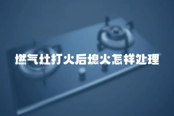 燃?xì)庠畲蚧鸷笙ɑ鹪鯓犹幚?></a></div>
                    <div   id=