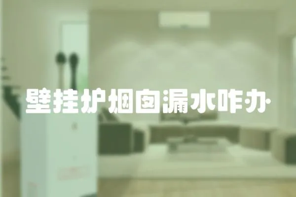 壁掛爐煙囪漏水咋辦