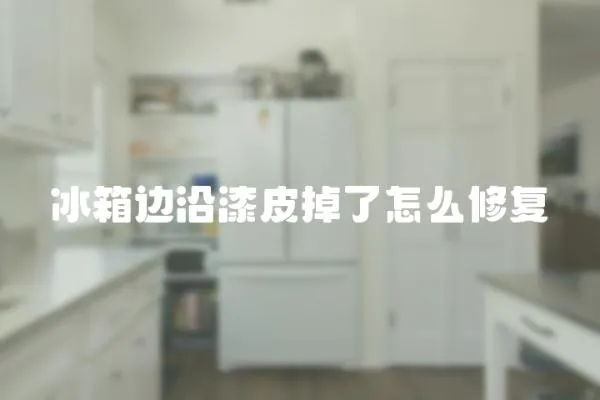 冰箱邊沿漆皮掉了怎么修復