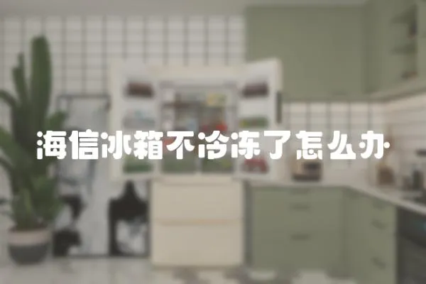 海信冰箱不冷凍了怎么辦