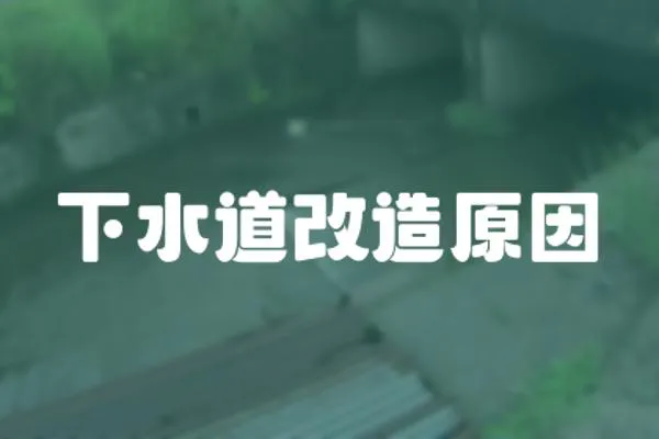 下水道改造原因