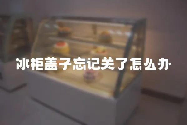 冰柜蓋子忘記關了怎么辦