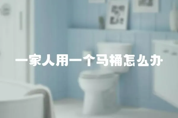 一家人用一個馬桶怎么辦