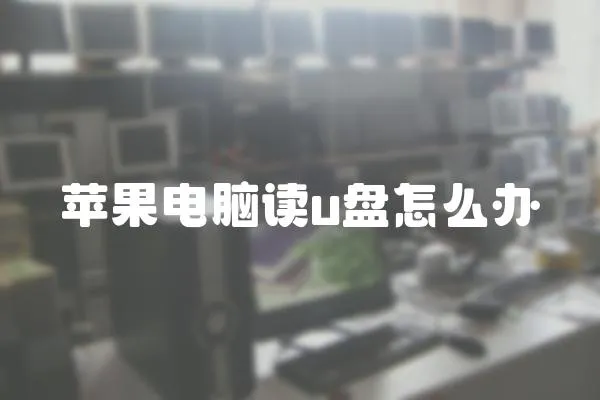 蘋果電腦讀u盤怎么辦