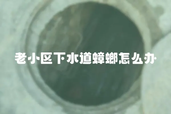 老小區下水道蟑螂怎么辦