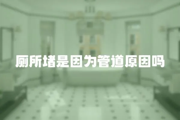 廁所堵是因為管道原因嗎