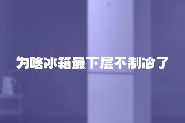 為啥冰箱最下層不制冷了