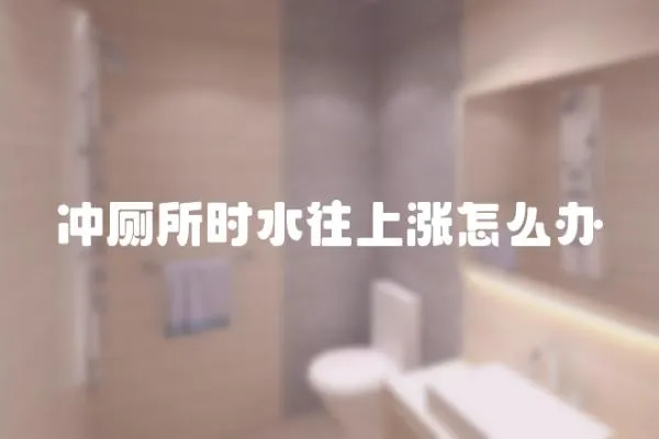 沖廁所時水往上漲怎么辦