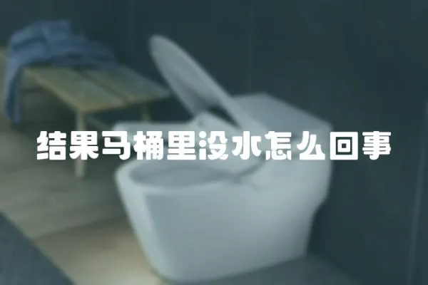 結(jié)果馬桶里沒(méi)水怎么回事