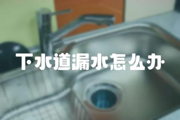 下水道漏水怎么辦