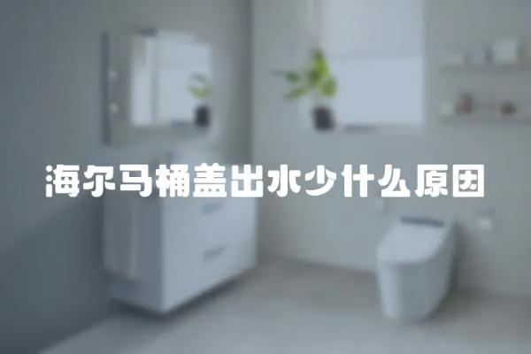 海爾馬桶蓋出水少什么原因