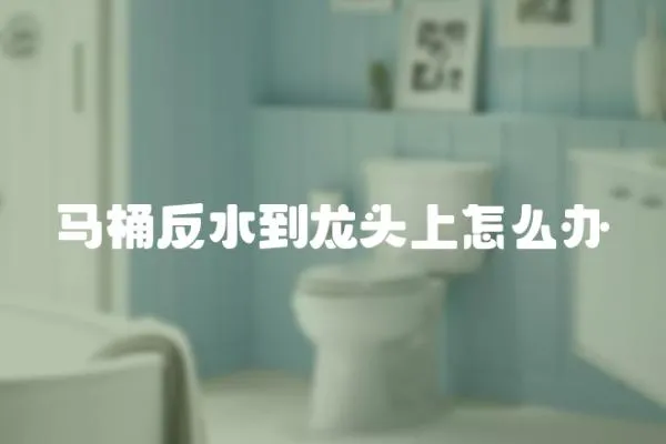 馬桶反水到龍頭上怎么辦