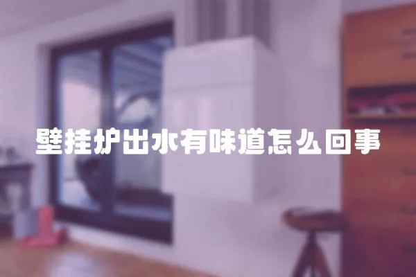 壁掛爐出水有味道怎么回事