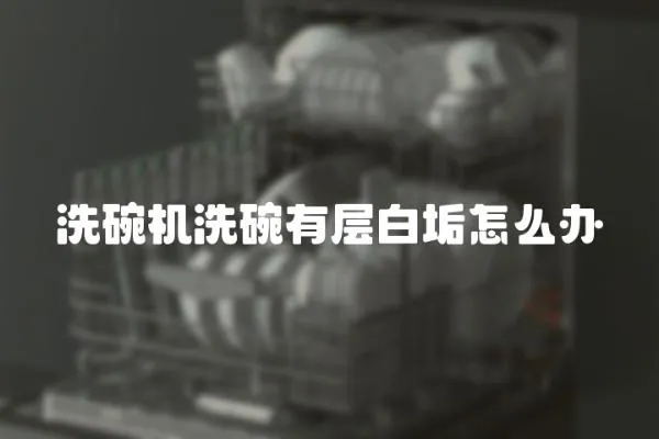 洗碗機(jī)洗碗有層白垢怎么辦
