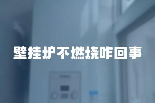 壁掛爐不燃燒咋回事