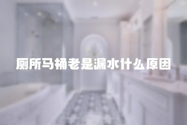 廁所馬桶老是漏水什么原因