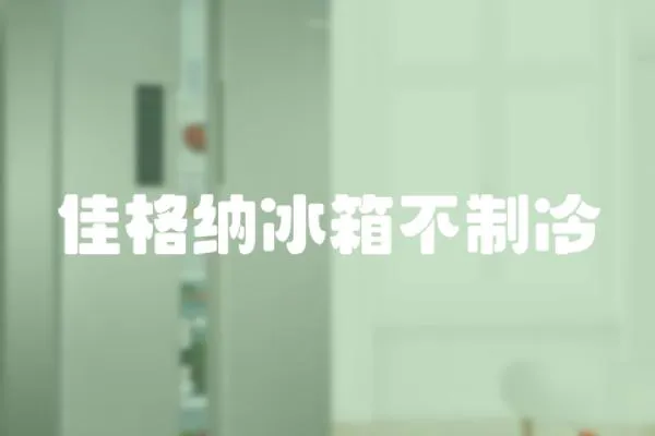佳格納冰箱不制冷