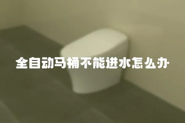 全自动马桶不能进水怎么办