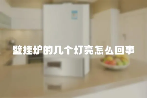 壁掛爐的幾個燈亮怎么回事