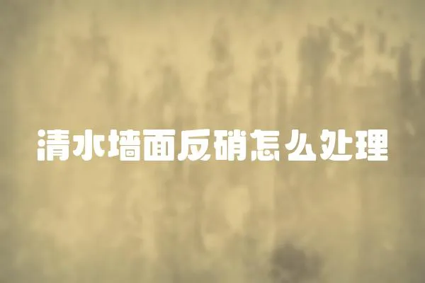 清水墻面反硝怎么處理