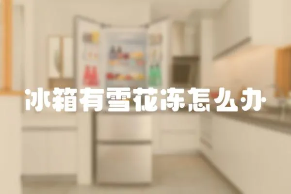 冰箱有雪花凍怎么辦
