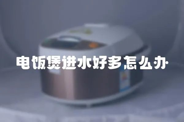 電飯煲進水好多怎么辦