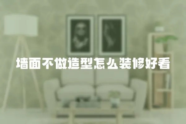 墻面不做造型怎么裝修好看