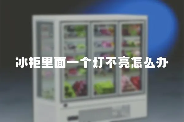 冰柜里面一個燈不亮怎么辦