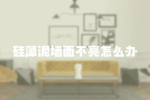 硅藻泥墻面不亮怎么辦