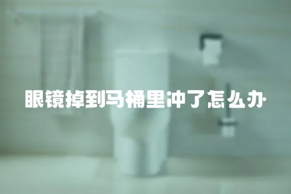 眼鏡掉到馬桶里沖了怎么辦
