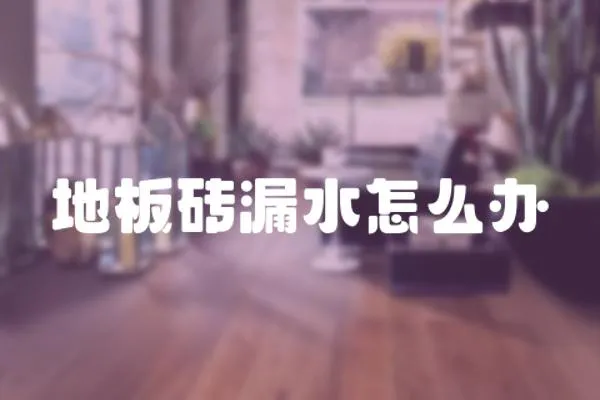 地板磚漏水怎么辦