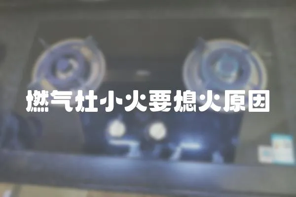 燃?xì)庠钚』鹨ɑ鹪?></a></div>
                    <div   id=