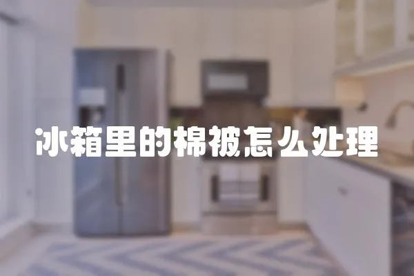 冰箱里的棉被怎么處理