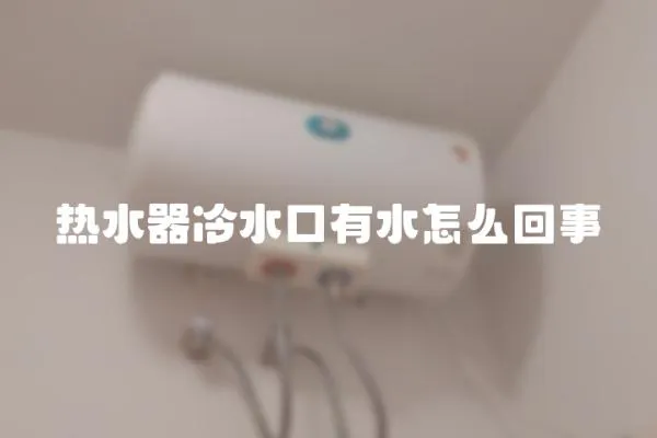 熱水器冷水口有水怎么回事