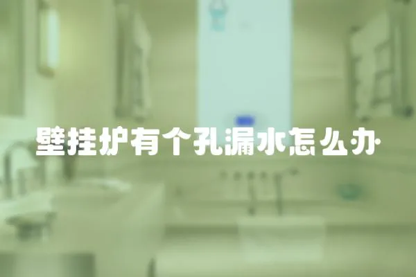 壁掛爐有個孔漏水怎么辦