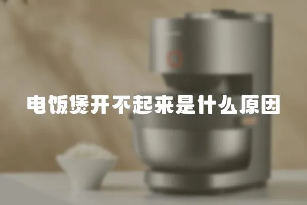 電飯煲開不起來是什么原因