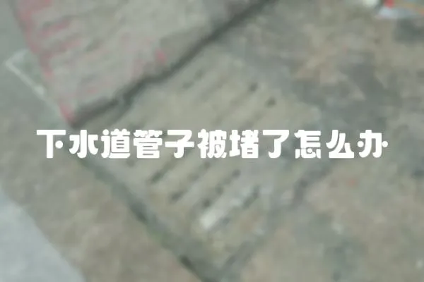 下水道管子被堵了怎么辦
