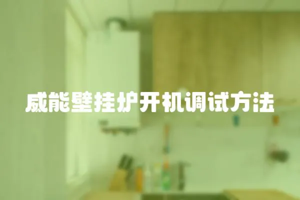 威能壁掛爐開機調試方法