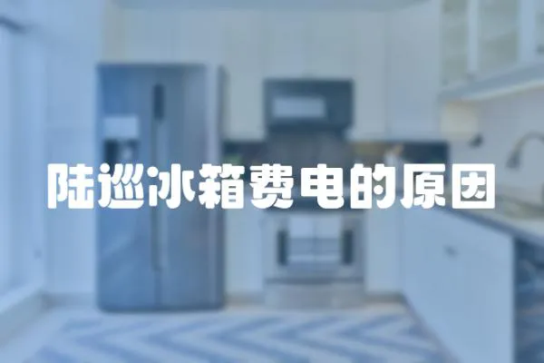 陸巡冰箱費(fèi)電的原因